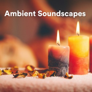 Album Ambient Soundscapes from Healing Frequencies