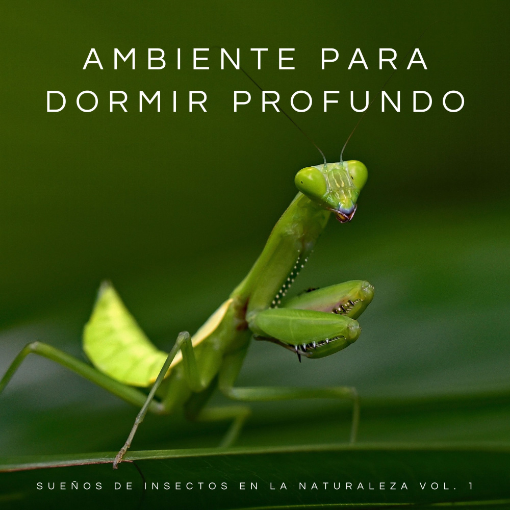 Tonos De Meditación