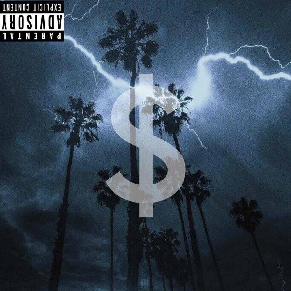 Fieldtrips 2 (PlaqueBoyMax & xaviersobased Remix|Explicit)