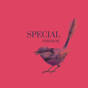 收聽Paranoic的Special歌詞歌曲