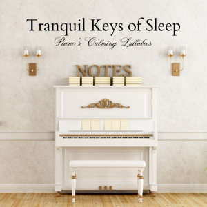 Piano Novel的專輯Tranquil Keys of Sleep: Piano's Calming Lullabies