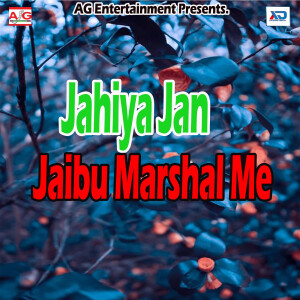 收聽Arvind Sawariya的Chorin Sani Chor Dela歌詞歌曲