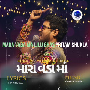Listen to Mara Vada Ma Lilu Ghas song with lyrics from Pritam Shukla