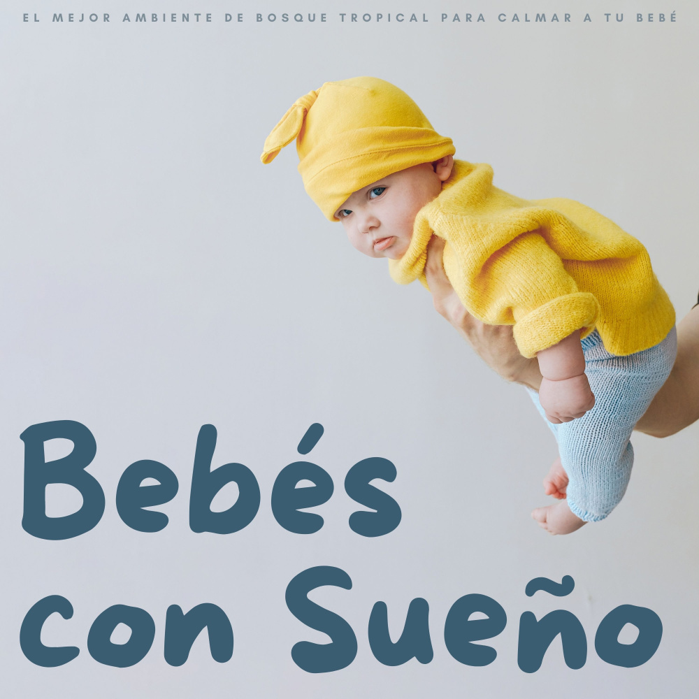 Sonidos De Arroyos Para Un Sueño Profundo