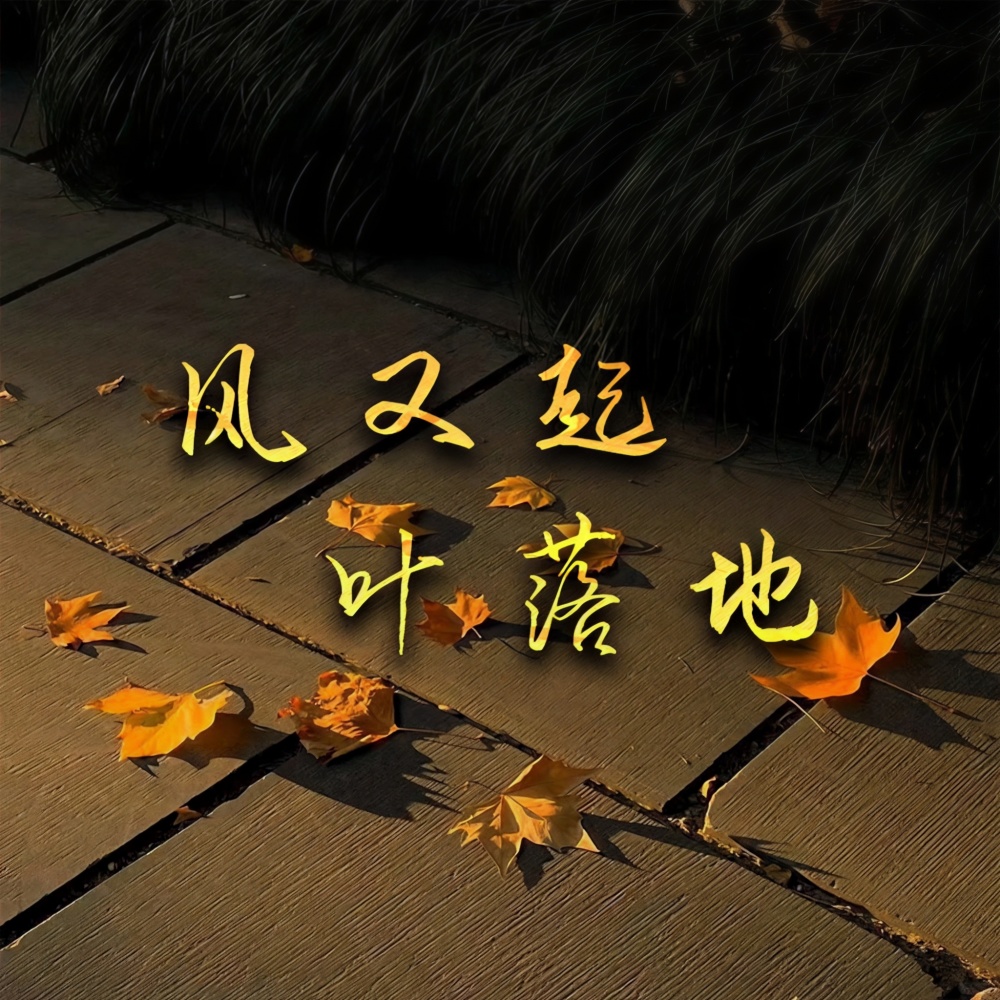 风又起叶落地
