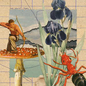 Bugs dari Mr. Santé