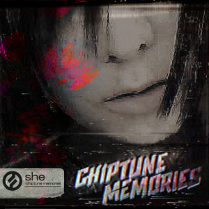 ดาวน์โหลดและฟังเพลง 8bit Adventures พร้อมเนื้อเพลงจาก She