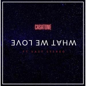 Album What We Love (feat. Vast Stereo) from Vivid Casa