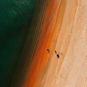 Album Where were you oleh Unsu