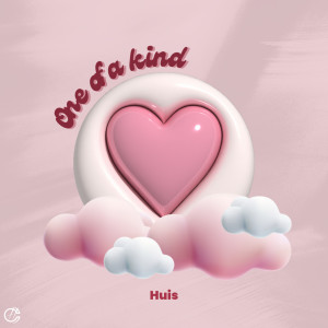 Listen to One of a kind (Sped Up) song with lyrics from Huis