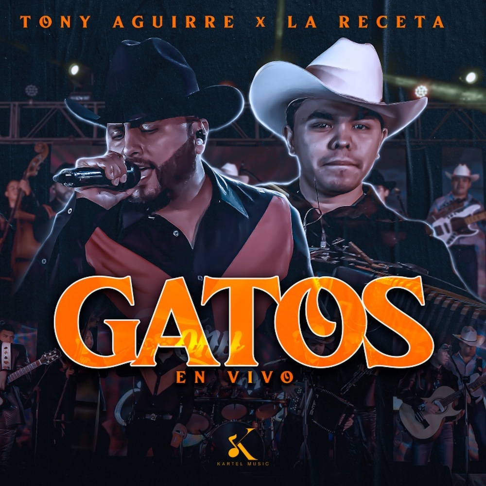 Gatos (En Vivo)