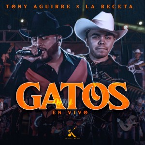 ดาวน์โหลดและฟังเพลง Gatos (En Vivo) พร้อมเนื้อเพลงจาก Tony Aguirre