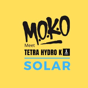 Listen to Solar (M.O.K.O Meets Tetra Hydro K) song with lyrics from M.O.K.O