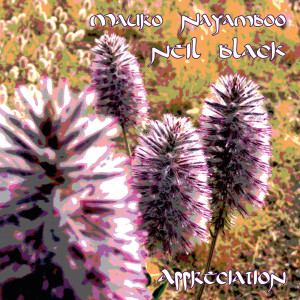 Album Appreciation from Neil Black