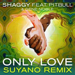 ดาวน์โหลดและฟังเพลง Only Love (Suyano Remix) พร้อมเนื้อเพลงจาก Shaggy