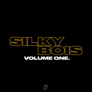 ดาวน์โหลดและฟังเพลง FOX FUR (PROD BY Doplamingo) พร้อมเนื้อเพลงจาก SILKYBOIS