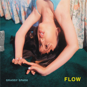 Dengarkan lagu Flow nyanyian Grassy Spark dengan lirik