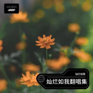 Listen to 多少次想你 (cover: 丛书) (完整版) song with lyrics from 灿烂如我