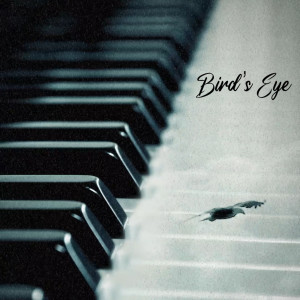 收聽Bird's Eye的Realising歌詞歌曲