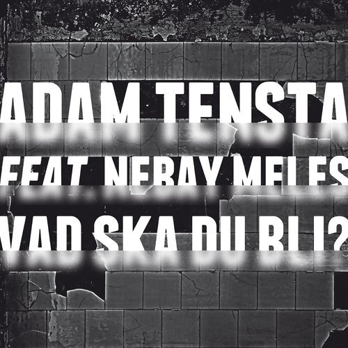 Vad ska du bli? (feat. Nebay Meles) [Instrumental] (其他|Instrumental)