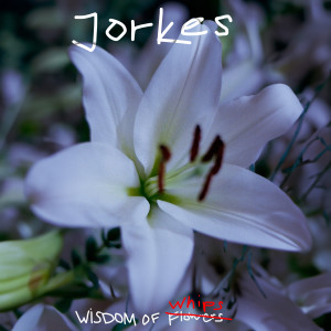 收听Jorkes的Work La Pochette歌词歌曲
