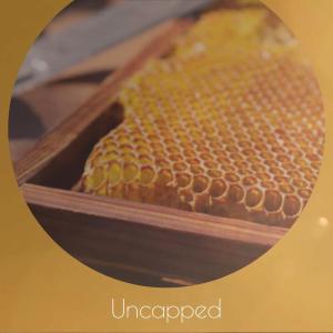 Various的专辑Uncapped
