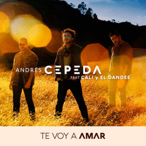 ดาวน์โหลดและฟังเพลง Te Voy a Amar พร้อมเนื้อเพลงจาก Andrés Cepeda