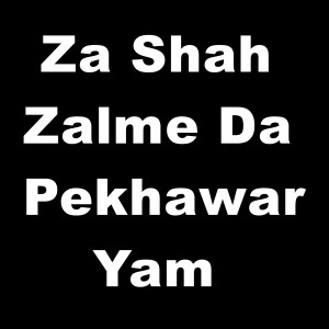 ดาวน์โหลดและฟังเพลง Za Shah Zalme da Pekhawar Yam พร้อมเนื้อเพลงจาก Shabnam Naseem