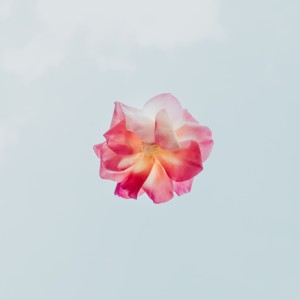 Listen to What If I Told You I Like You song with lyrics from Kae-Dama