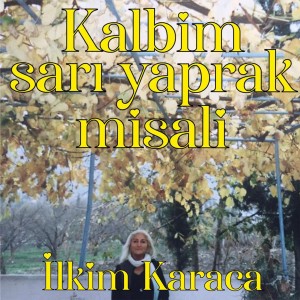 ดาวน์โหลดและฟังเพลง Kalbim Sarı Yaprak Misali พร้อมเนื้อเพลงจาก İlkim Karaca