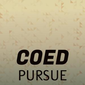 ดาวน์โหลดและฟังเพลง Golden Lurch พร้อมเนื้อเพลงจาก Bito Ouss