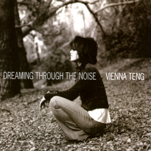 ดาวน์โหลดและฟังเพลง Whatever You Want พร้อมเนื้อเพลงจาก Vienna Teng
