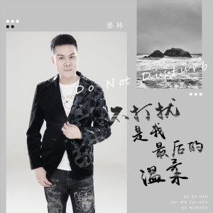 Listen to 不打扰是我最后的温柔 (伴奏) song with lyrics from 暴林