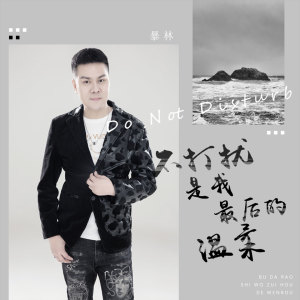 Album 不打扰是我最后的温柔 from 暴林