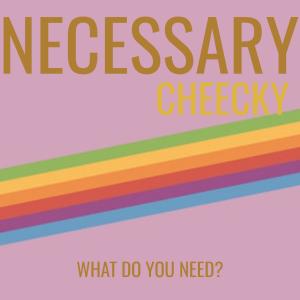 ดาวน์โหลดและฟังเพลง Necessary พร้อมเนื้อเพลงจาก Cheecky