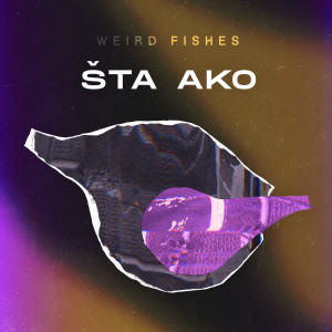 Dengarkan lagu Safe nyanyian Weird Fishes dengan lirik