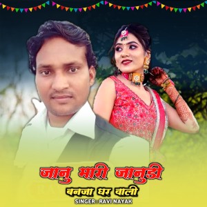 ดาวน์โหลดและฟังเพลง Jaanu Mari Janudi พร้อมเนื้อเพลงจาก Ravi Nayak