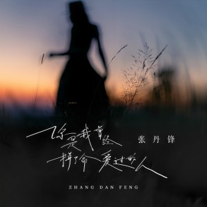 收聽張丹鋒的你是我曾經拼了命愛過的人歌詞歌曲