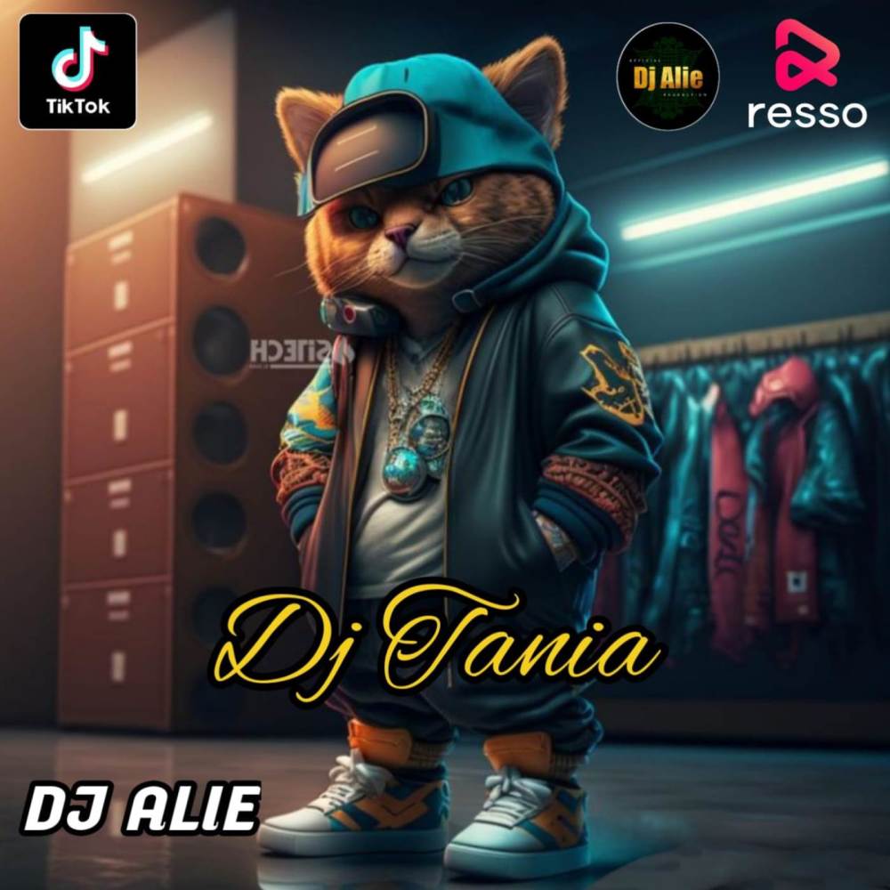 DJ ASU LAMA SUKA DIA