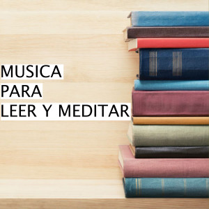 Concentracion的专辑Musica Para Leer y Meditar