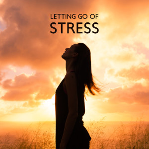 Album Letting Go of Stress (Release Your Fears and Anxiety, Meditation for Letting Go, Present Moment with Peaceful Music) oleh Academy of Powerful Music with Positive Energy