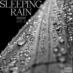 收听힐링 네이쳐 Nature Sound Band的Long Rain Shower歌词歌曲