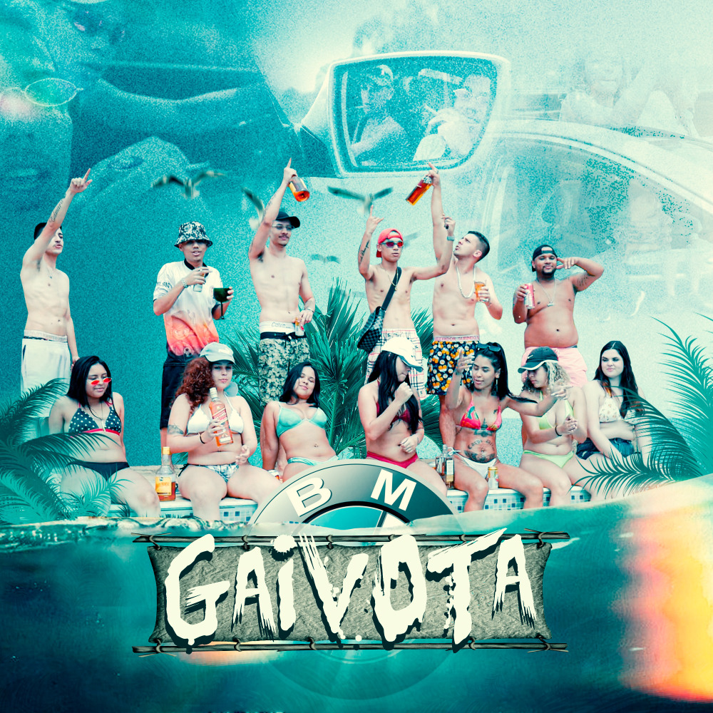 BM Gaivota