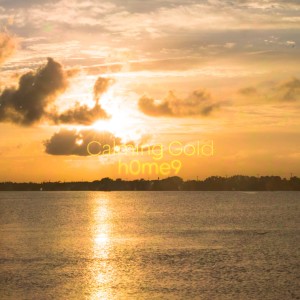 Dengarkan lagu Calming Gold nyanyian h0me9 dengan lirik