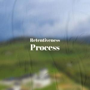 Various的专辑Retentiveness Process