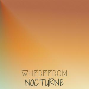 Various Artists的專輯Wherefrom Nocturne