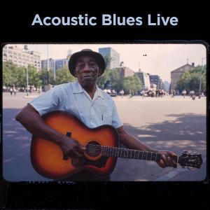Various Artists的專輯Acoustic Blues Live