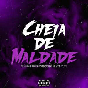 DJ Vitin da PPL的專輯Cheia De Maldade (feat. Dj Kesley Do Martins & MC Aguiar) [Explicit]