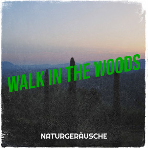 Album Walk in the Woods oleh Naturgeräusche