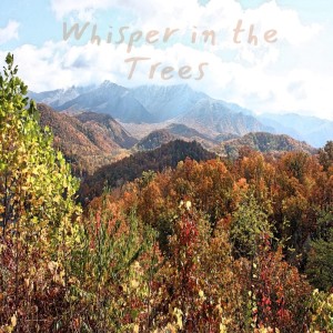 O.N.O的專輯Whisper in the Trees